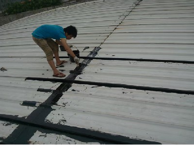 瓦面大面积接缝补漏 (4)