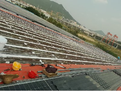 瓦面大面积接缝补漏 (7)