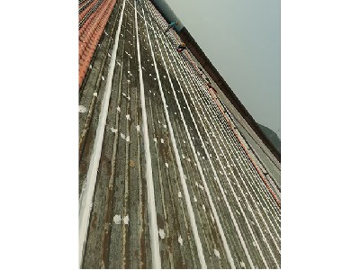 瓦面大面积接缝补漏 (9)