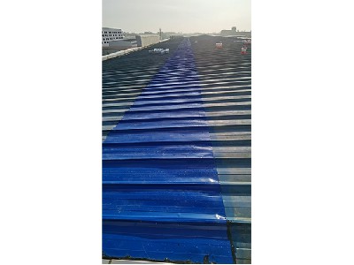 瓦面大面积补漏翻新 (1)