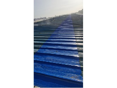 瓦面大面积补漏翻新 (2)